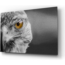 Insigne Şahin Cam Tablo - 72X46 cm