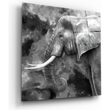 Insigne Fil Cam Tablo - 40X40 cm