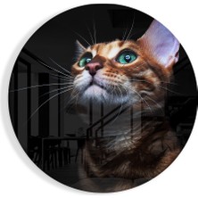 Insigne Kedi Cam Tablo - 60X60 cm