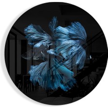 Insigne Balık Cam Tablo - 60X60 cm