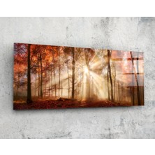 Insigne Orman 92X36CM Cam Tablo