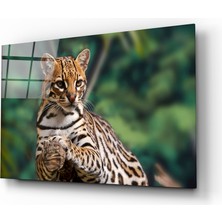 Insigne Çita Cam Tablo - 110X70 cm