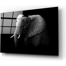 Insigne Fil Cam Tablo - 72X46 cm