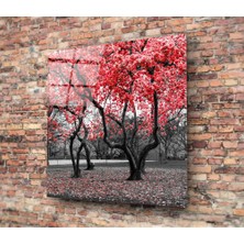 Insigne Kızıl Ağaç Cam Tablo - 40X40 cm