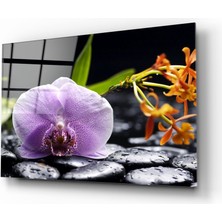 Insigne Spa Cam Tablo - 72X46 cm