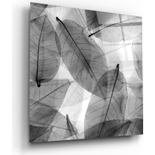 Insigne Siyah-Beyaz Yapraklar Cam Tablo - 40X40 cm