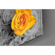 Insigne Sarı Gül Cam Tablo - 40X40 cm