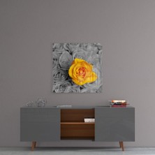 Insigne Sarı Gül Cam Tablo - 40X40 cm