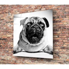 Insigne Pug Cam Tablo - 40X40 cm