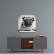 Insigne Pug Cam Tablo - 40X40 cm