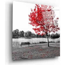 Insigne Kırmızı Ağaç Cam Tablo - 40X40 cm