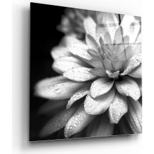 Insigne Çiçek Cam Tablo - 40X40 cm