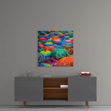 Insigne Renkli Şemsiyeler Cam Tablo - 40X40 cm
