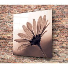 Insigne Çiçek Cam Tablo - 40X40 cm