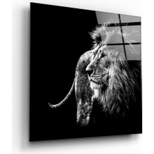 Insigne Aslan Cam Tablo - 40X40 cm