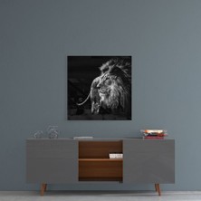 Insigne Aslan Cam Tablo - 40X40 cm