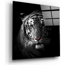 Insigne Kaplan Cam Tablo - 40X40 cm