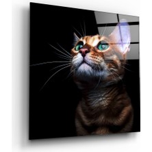 Insigne Yavru Kedi Cam Tablo - 40X40 cm