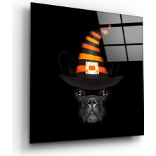 Insigne Köpek Cam Tablo - 40X40 cm