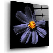 Insigne Mor Çiçek Cam Tablo - 50X50 cm