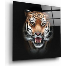 Insigne Kaplan Cam Tablo - 40X40 cm