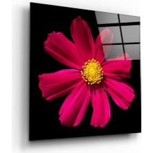 Insigne Kırmızı Çiçek Cam Tablo - 40X40 cm