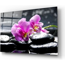 Insigne Spa Cam Tablo - 72X46 cm