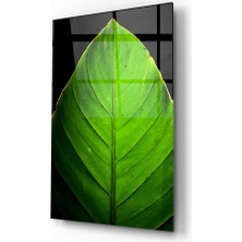 Insigne Yeşil Yaprak Cam Tablo - 72X46 cm