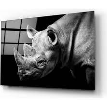 Insigne Gergedan Cam Tablo - 72X46 cm