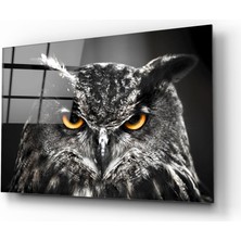 Insigne Baykuş Cam Tablo - 72X46 cm