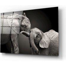 Insigne Filler Cam Tablo - 72X46 cm