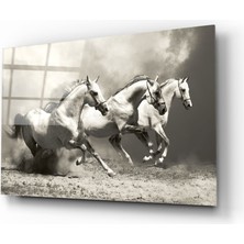 Insigne Koşan Atlar Cam Tablo - 72X46 cm