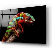 Insigne Bukalemun Cam Tablo - 72X46 cm