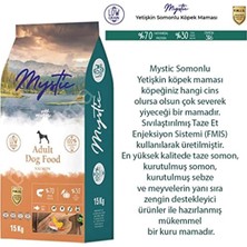 Mystic Somonlu Yetişkin Köpek Maması, 15 kg