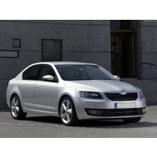 Vass41 Skoda Octavia A7 Mk3 2013-2017 Yedek Lastik Stepne Sabitleyici Aparatı Tutucu Vidası Oem 1K0803899D