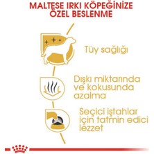 Royal Canin 1.5kg Maltese Bulldog Adult Yetişkin Köpek Maması