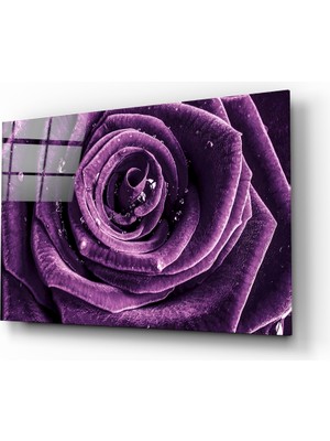 Insigne Mor Gül Cam Tablo - 72X46 cm