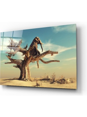 Insigne Düşünen Fil Cam Tablo - 72X46 cm