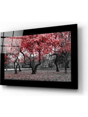 Insigne Ilkbahar Cam Tablo - 72X46 cm