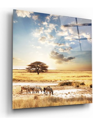 Insigne Afrika (Geniş Çayır) Cam Tablo - 60X60 cm