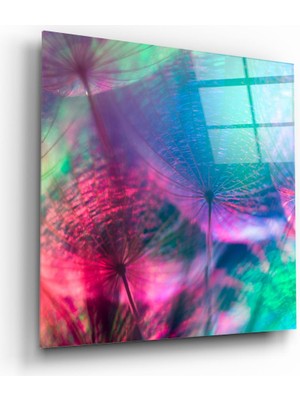 Insigne Karahindiba Cam Tablo - 60X60 cm