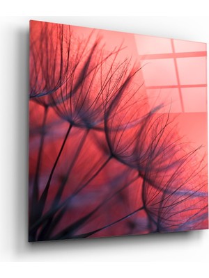 Insigne Kızıl Karahindiba Cam Tablo - 40X40 cm