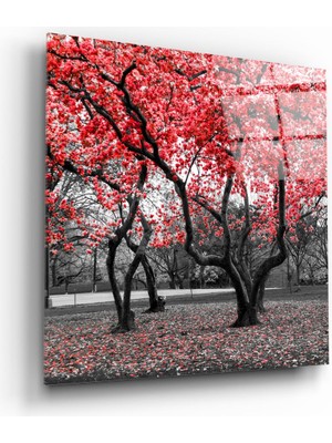 Insigne Kızıl Ağaç Cam Tablo - 60X60 cm