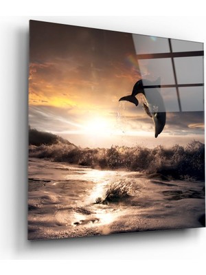 Insigne Yunus Cam Tablo - 60X60 cm