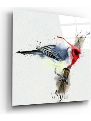 Insigne Kırmızı Kuş Cam Tablo - 60X60 cm