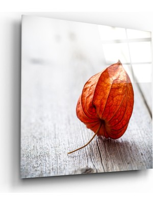Insigne Kuru Yaprak Cam Tablo - 40X40 cm