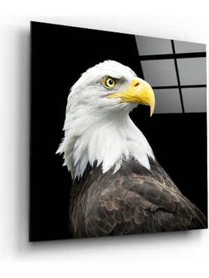 Insigne Kartal Cam Tablo - 40X40 cm