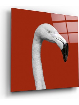 Insigne Flamingo Cam Tablo - 40X40 cm