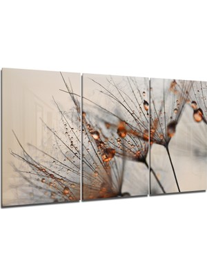 Insigne Tarçın Karahindiba Cam Tablo - 3 Adet 72X46 cm