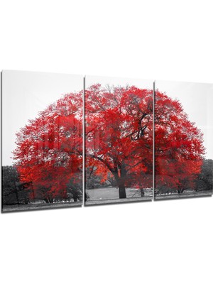 Insigne Kırmızı Ağaç Cam Tablo - 3 Adet 72X46 cm